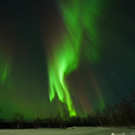 Northern Light Huts - Paradise Lapland Kiruna Eksteriør bilde