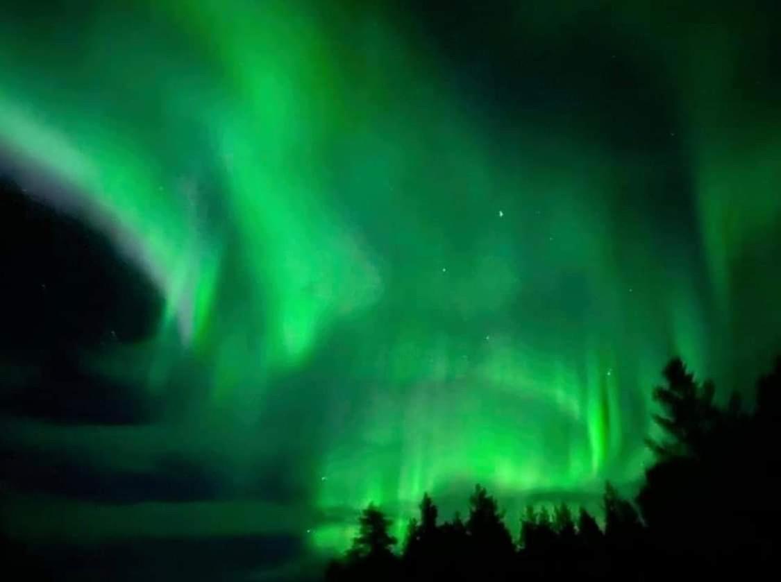 Northern Light Camp Kiruna Eksteriør bilde