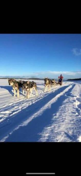 Northern Light Huts - Paradise Lapland Kiruna Eksteriør bilde