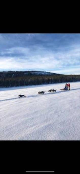 Northern Light Huts - Paradise Lapland Kiruna Eksteriør bilde