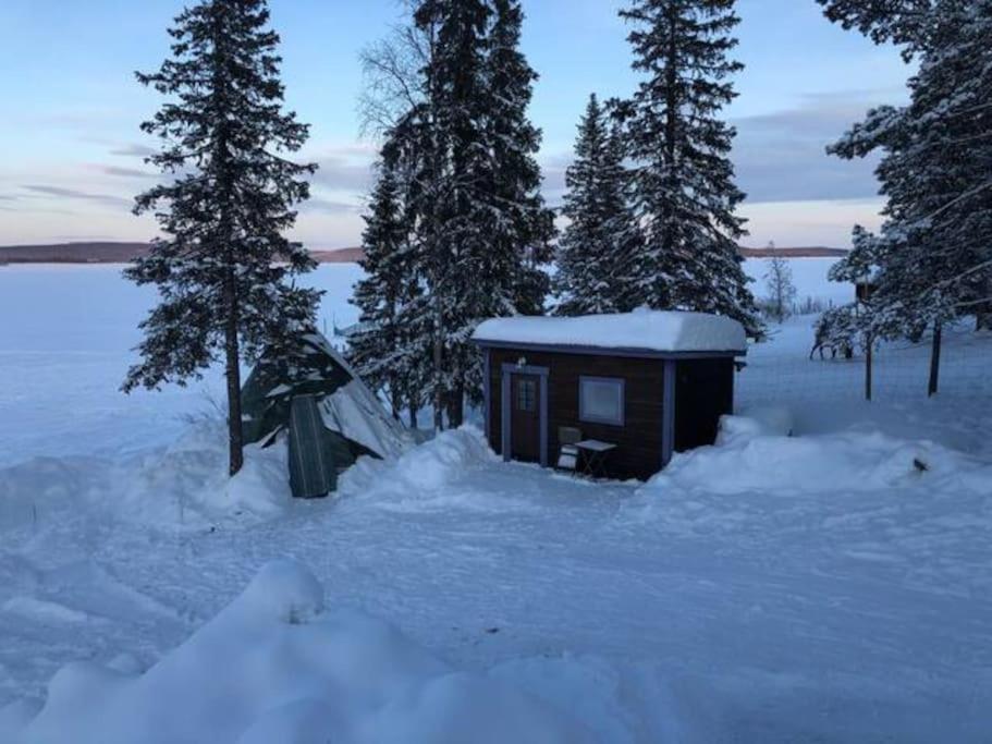 Northern Light Huts - Paradise Lapland Kiruna Eksteriør bilde